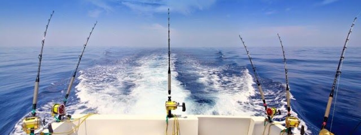 Fishing Tours-1